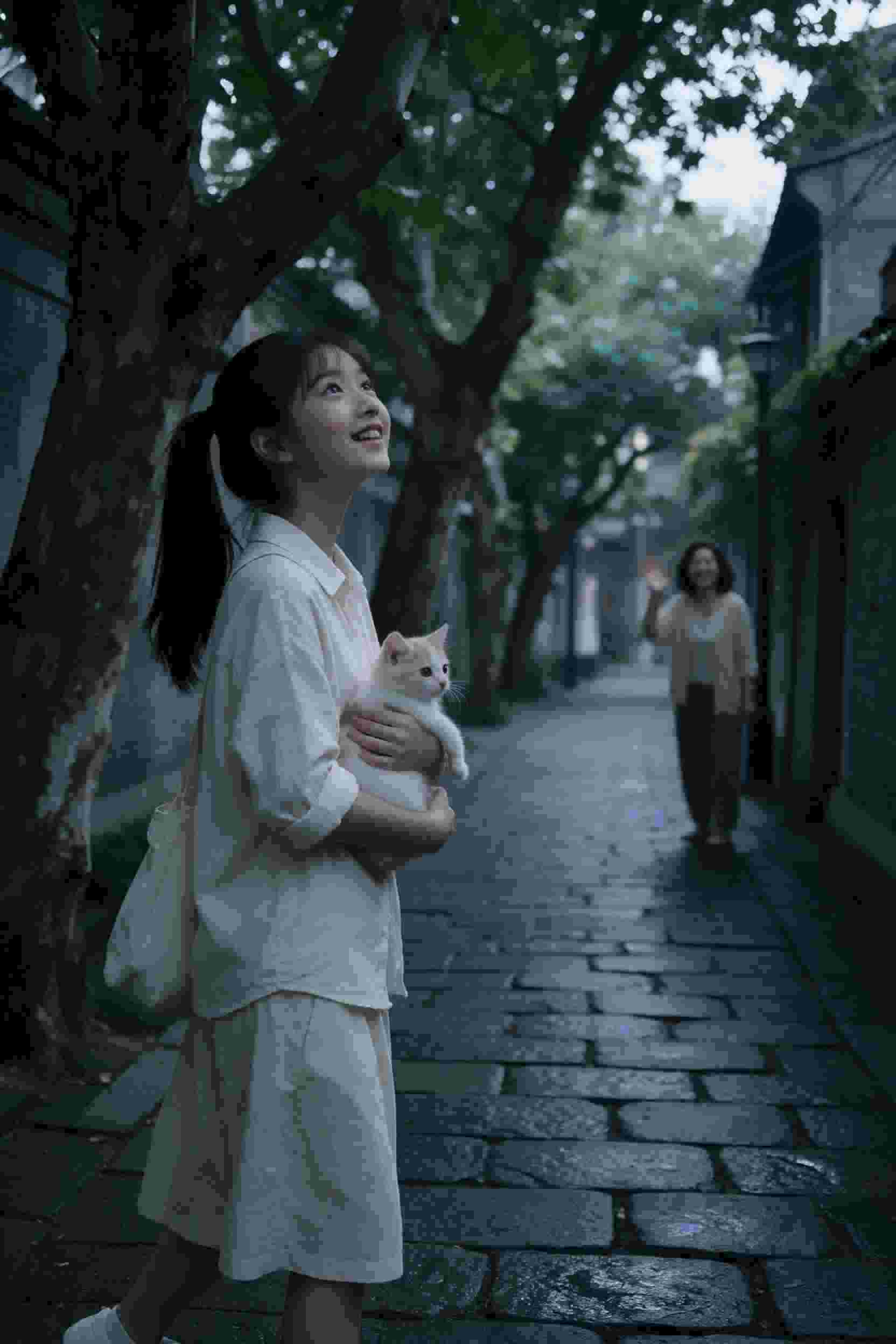 命运交叉