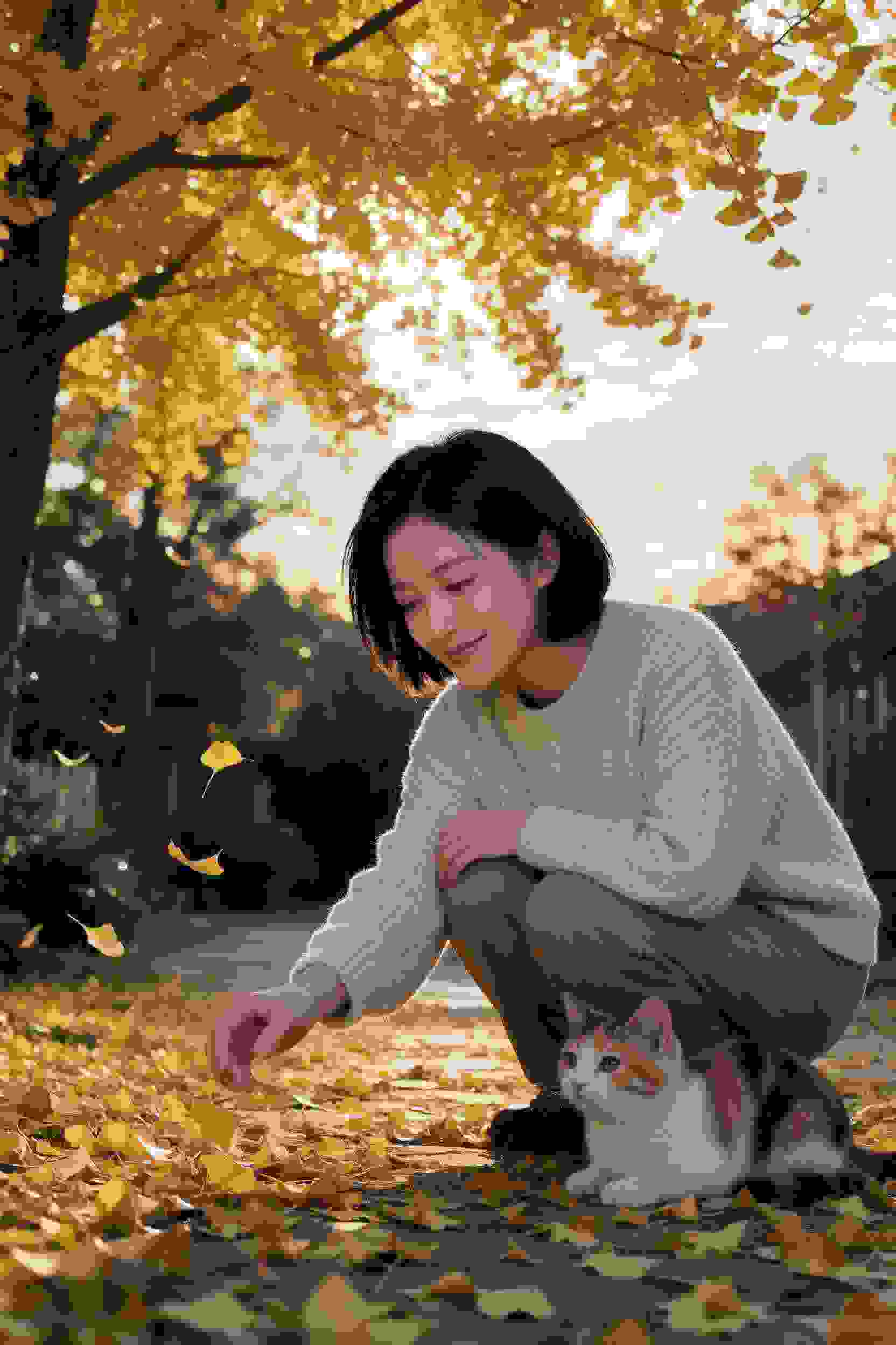 龙族秘境